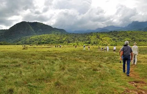 Walking Safari Katavi