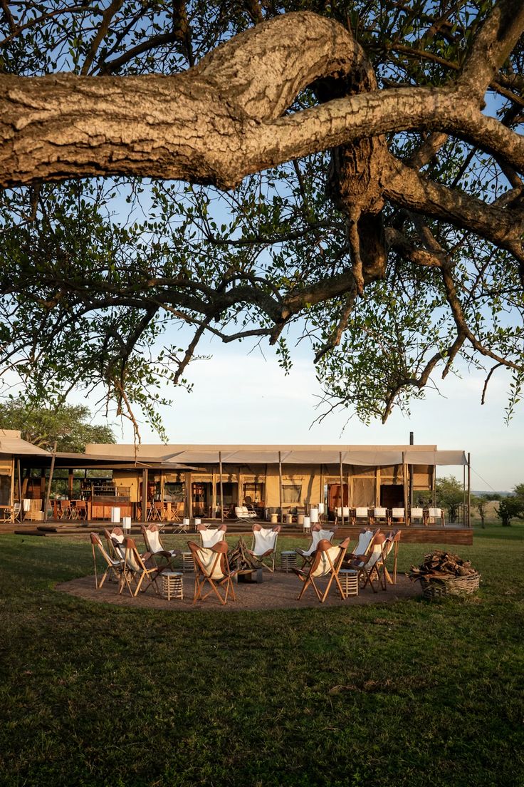 Serengeti Bushtops Camp