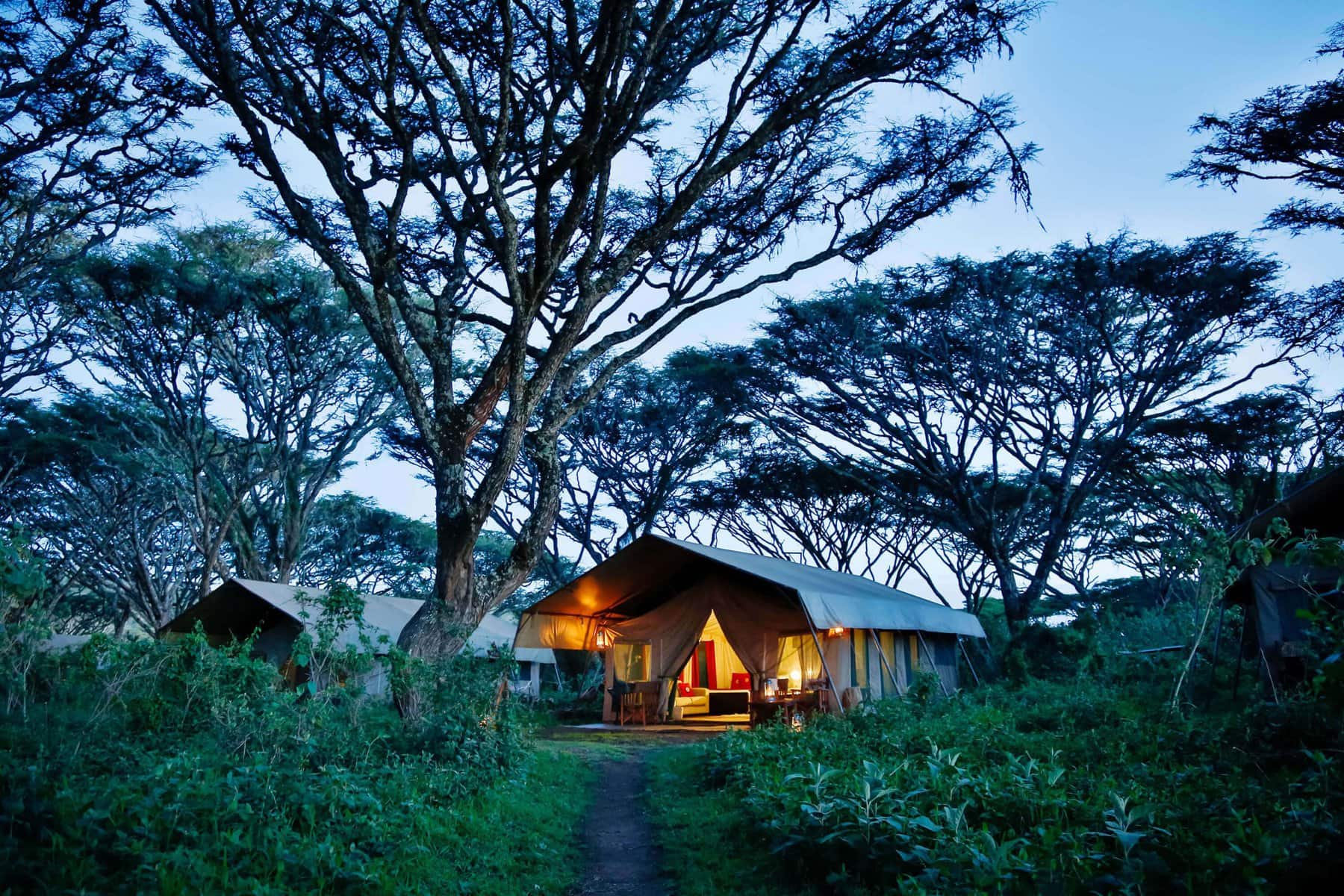 Four Seasons Serengeti