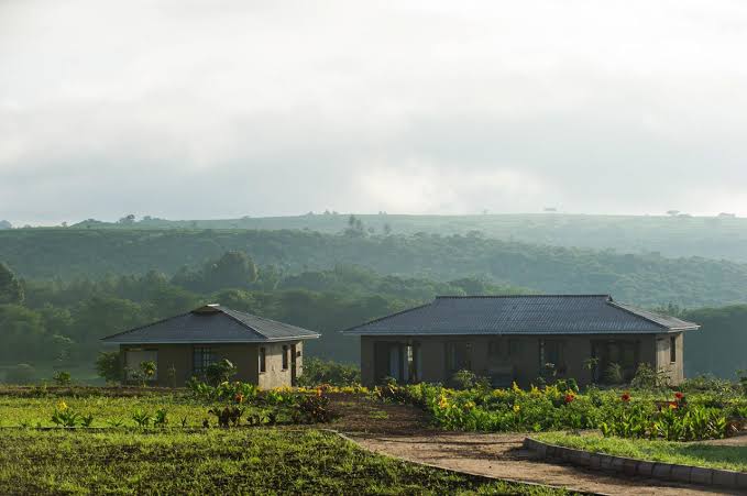Nomad Lamai Serengeti