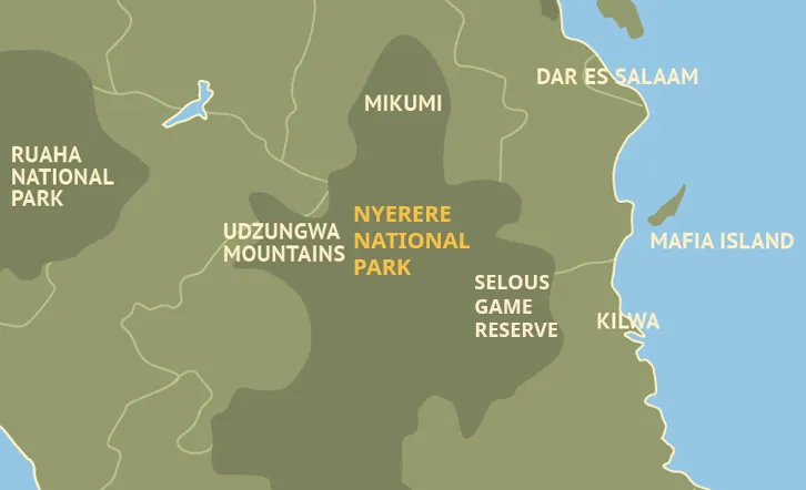 Rufiji River boat safari