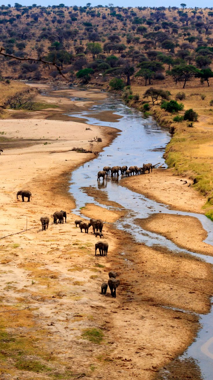 Ruaha National Park